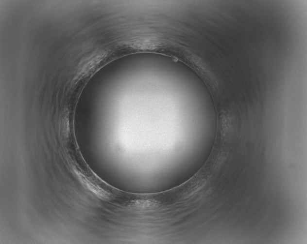 X0000077370541200610201351