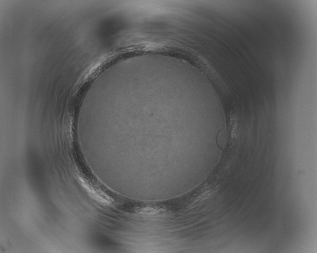 X0000077370542200610201351