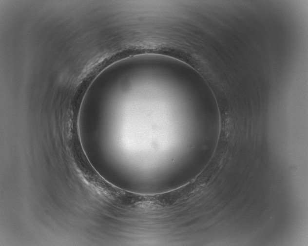 X0000077370544200610201351