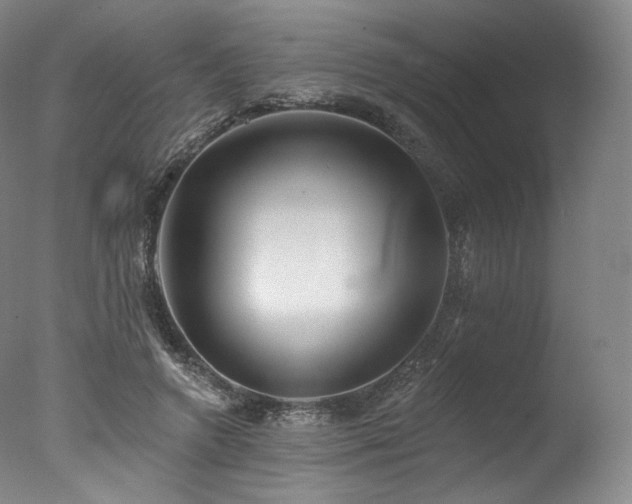 X0000077370546200610201351