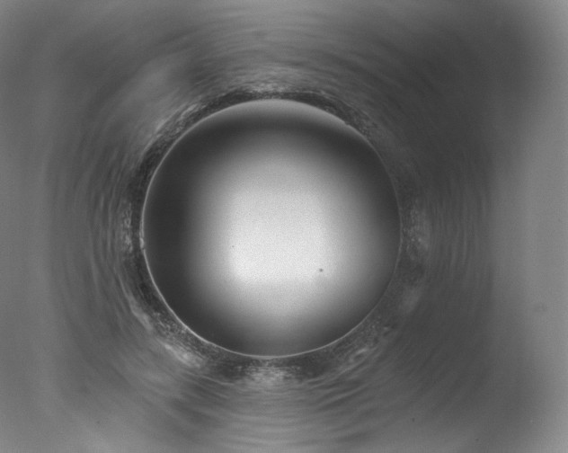 X0000077370547200610201351