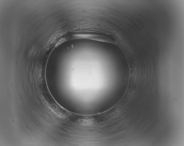 X0000077370548200610201351