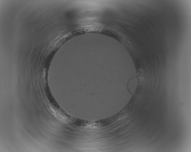 X0000077370550200610201351