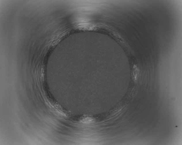 X0000077370551200610201351