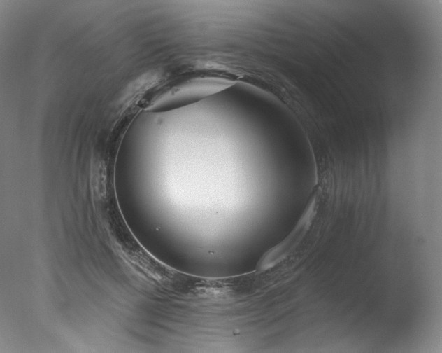 X0000077370552200610201351