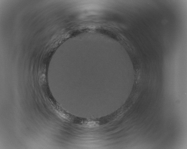 X0000077370553200610201351