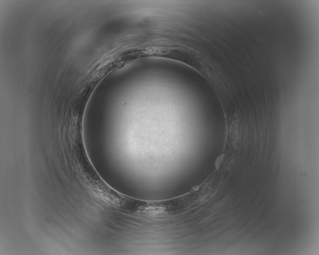 X0000077370554200610201351