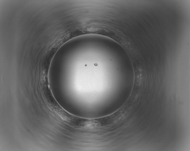 X0000077370555200610201351