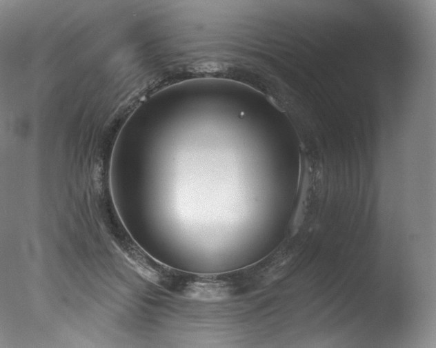 X0000077370556200610201351