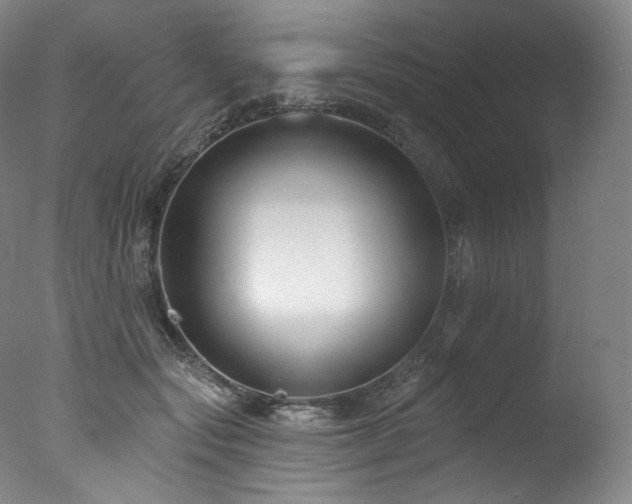 X0000077370557200610201351