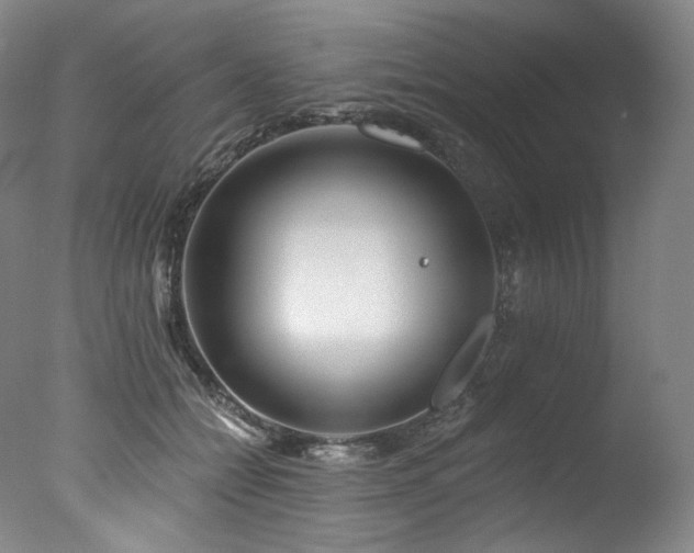 X0000077370558200610201351