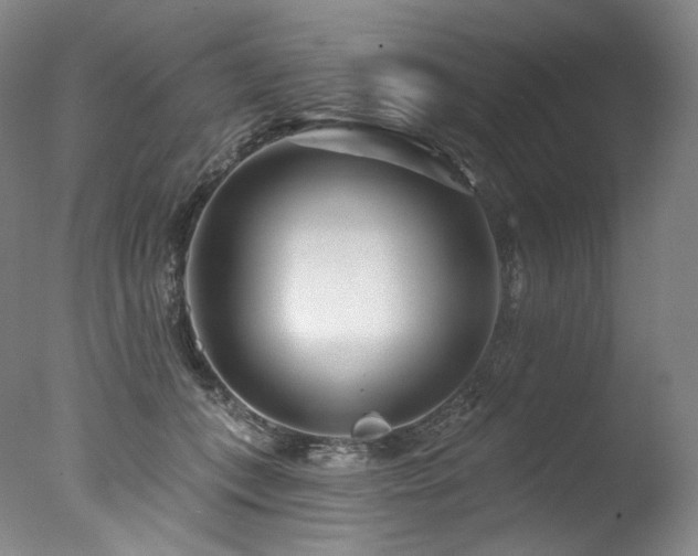 X0000077370559200610201351