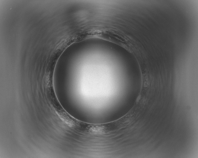 X0000077370560200610201351