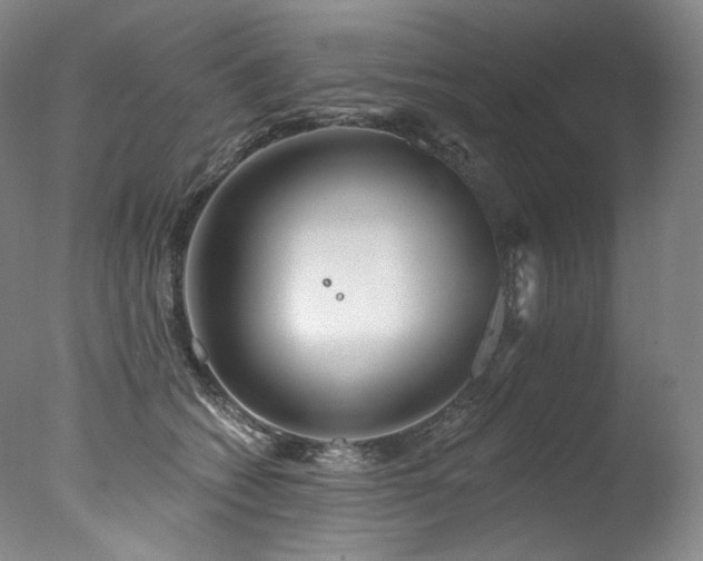 X0000077370562200610201351