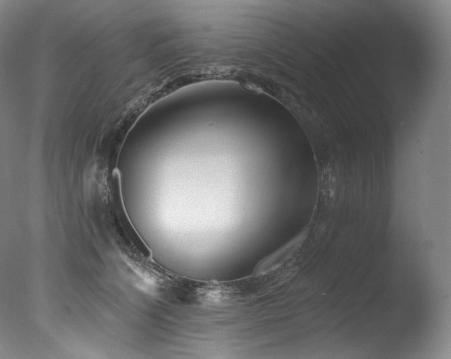 X0000077370564200610201351