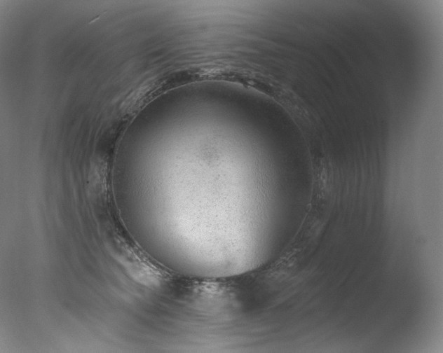 X0000077370565200610201352