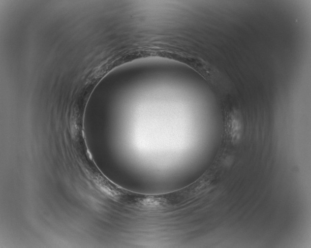 X0000077370566200610201352