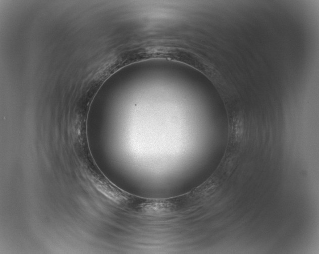 X0000077370567200610201352