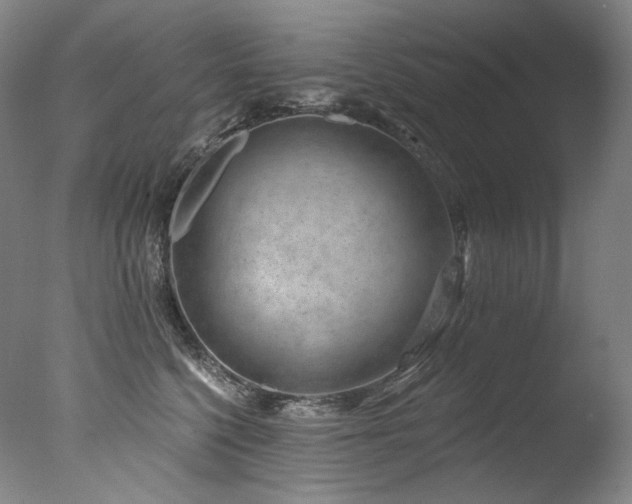 X0000077370568200610201352