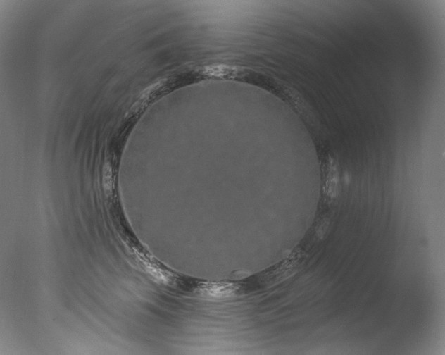 X0000077370569200610201352