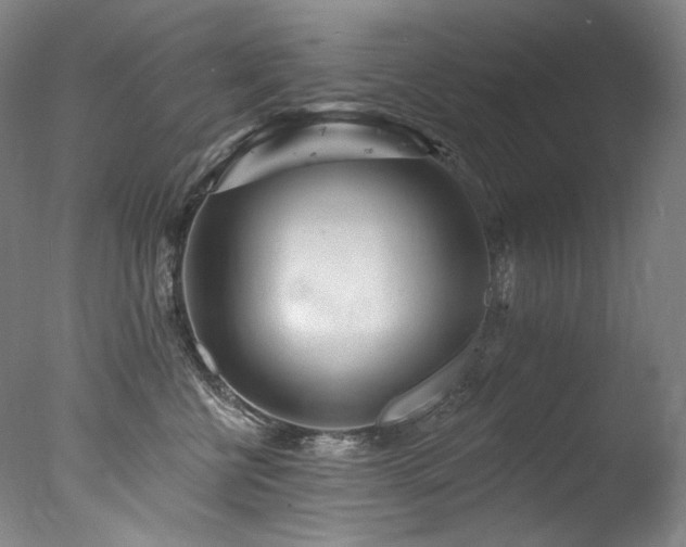 X0000077370570200610201352