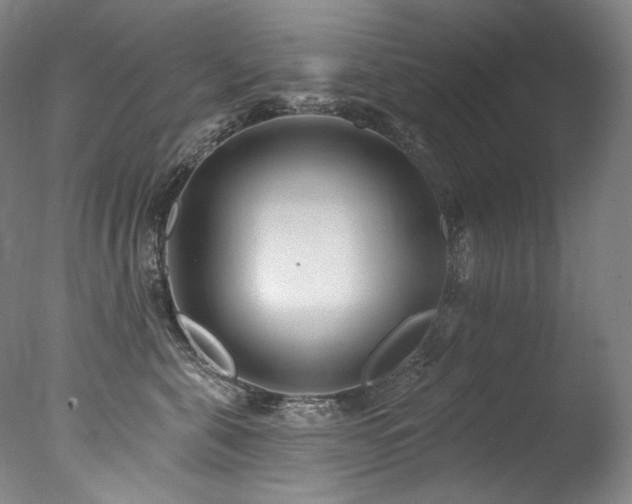 X0000077370571200610201352