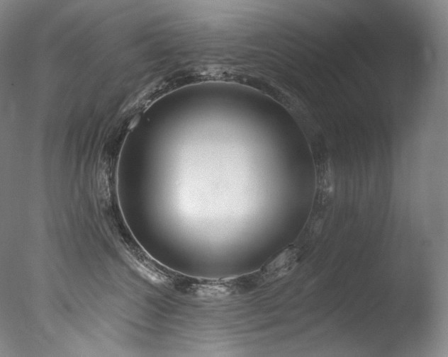 X0000077370572200610201352