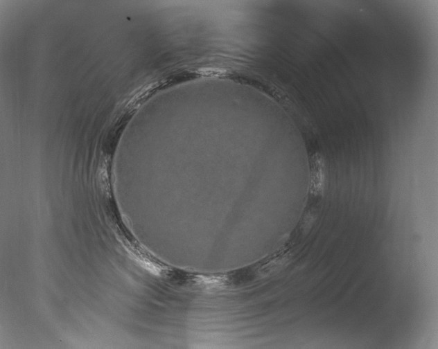 X0000077370573200610201352