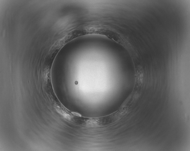 X0000077370574200610201352