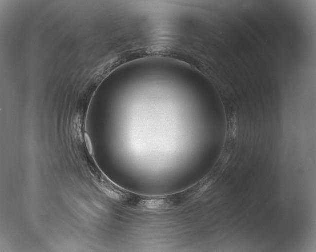 X0000077370575200610201352