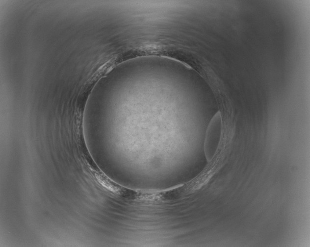 X0000077370576200610201352