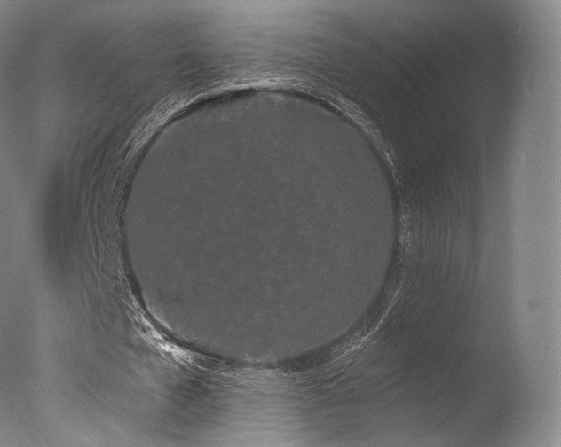 X0000077370577200610201351