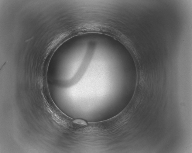 X0000077370578200610201351