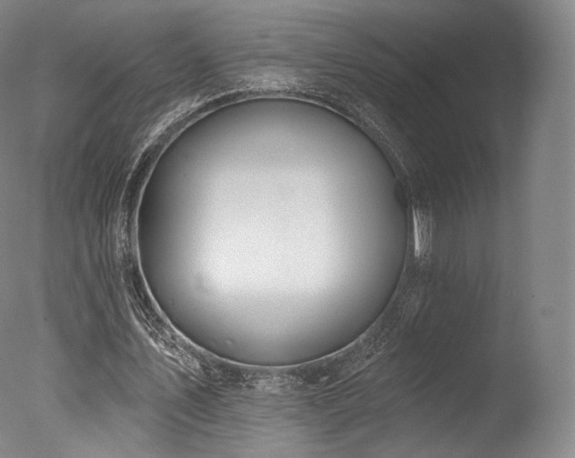 X0000077370579200610201351