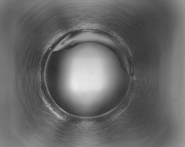 X0000077370581200610201351