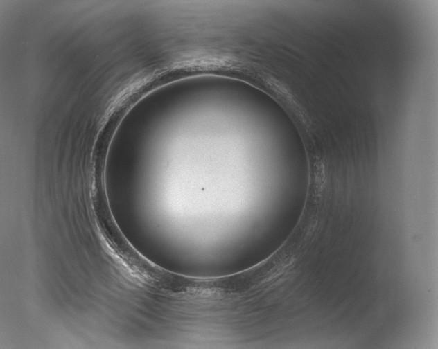 X0000077370582200610201351