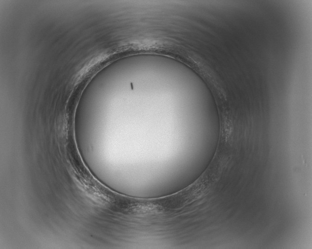 X0000077370583200610201351