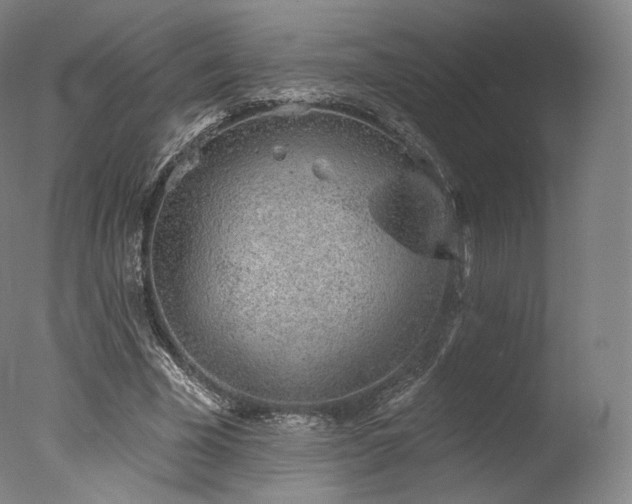 X0000077370585200610201351