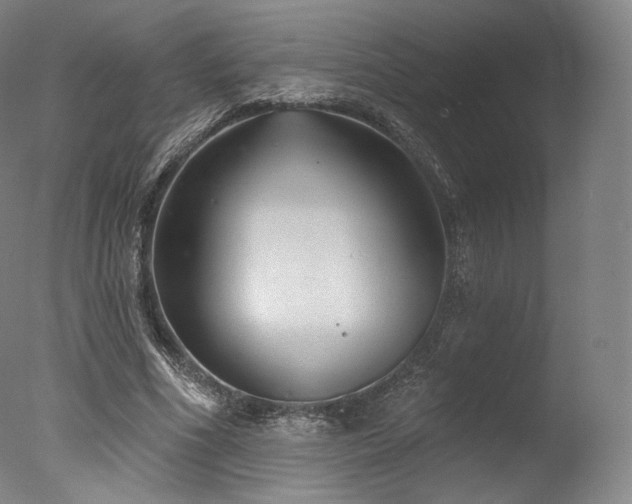 X0000077370586200610201351