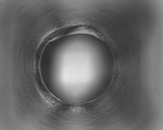 X0000077370587200610201351