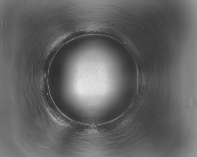 X0000077370588200610201351