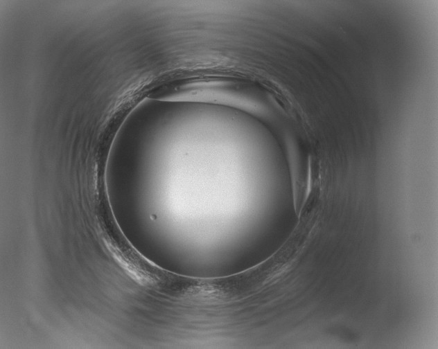 X0000077370589200610201351