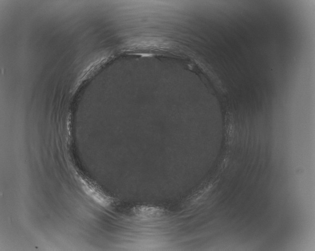 X0000077370590200610201351