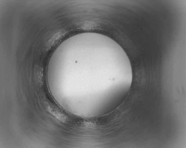 X0000077370592200610201351