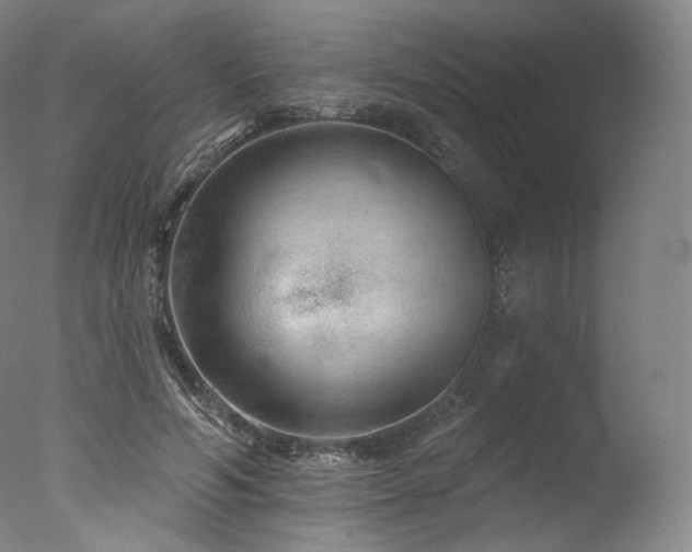 X0000077370594200610201351