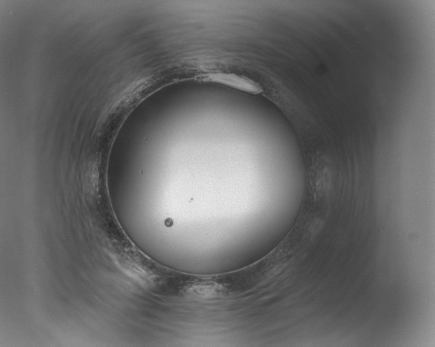 X0000077370595200610201351