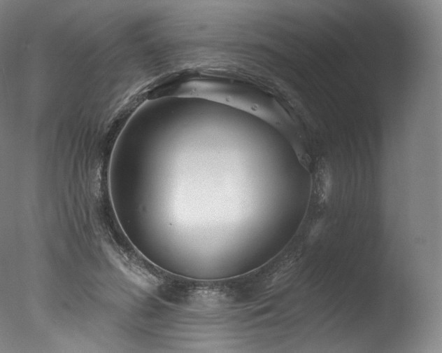 X0000077370596200610201351