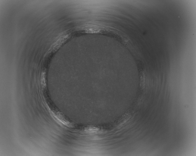 X0000077370598200610201351