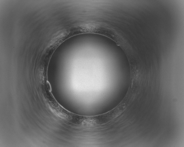 X0000077370599200610201351