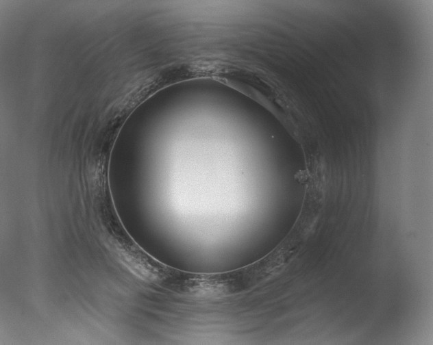 X0000077370601200610201350